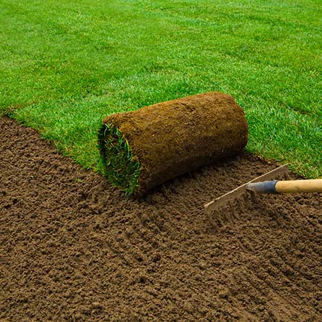 Gartenbau Majkowski Sylt